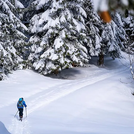 Vitalhotel 3* ゴーザウ