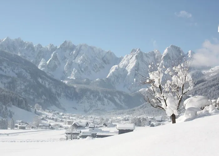 Vitalhotel Hotel Gosau