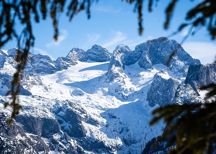 Ξενοδοχείο Vitalhotel 3*